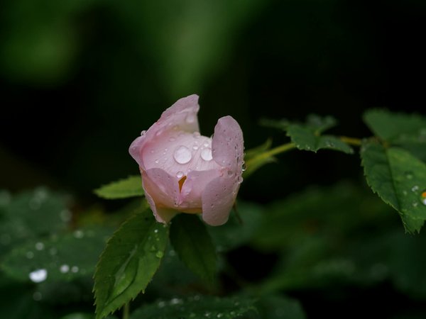 Travaux d'intérieur : comment optimiser vos petits espaces ?