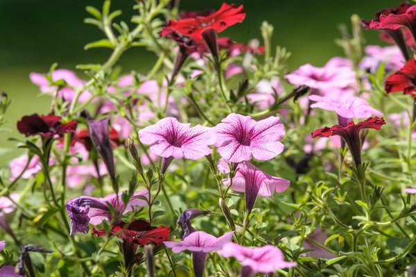 Utiliser son balcon comme espace de travail, c'est possible!